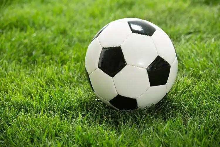 足彩澳客官网多平台支持